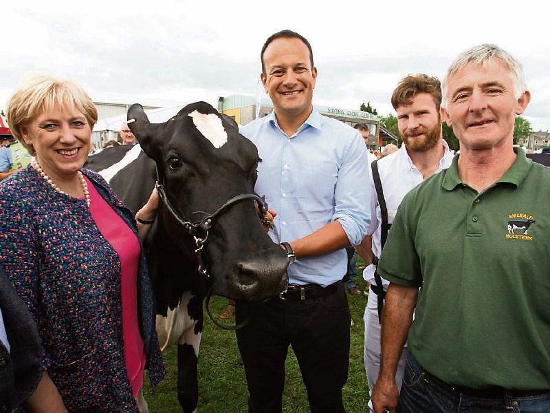 Taoiseach in ‘rhapsody’ to meet Limerick cow Millie