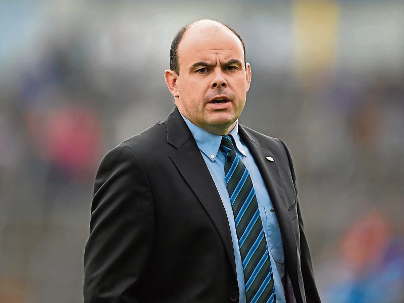 New Limerick GAA collection to be released next month