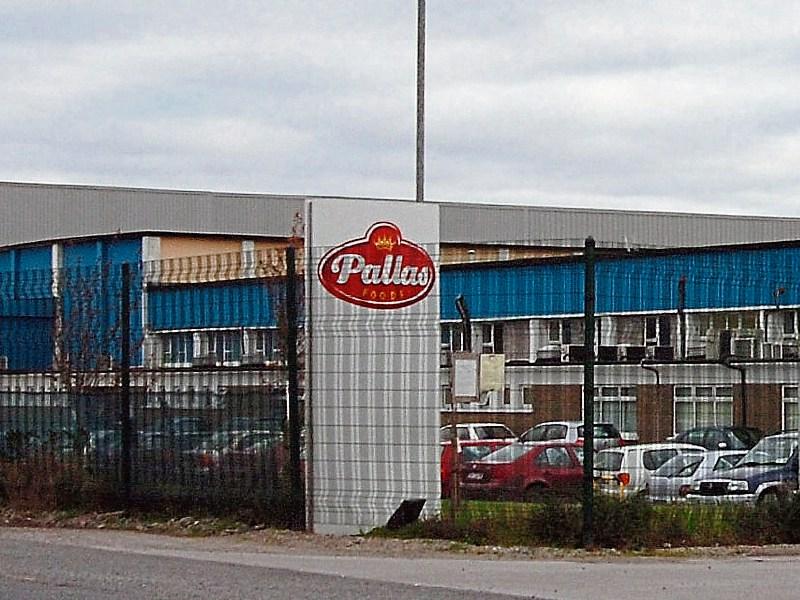 Pallas Foods: To centralise supply chain and seek up to 55 voluntary redundancies at its Newcastle West plant