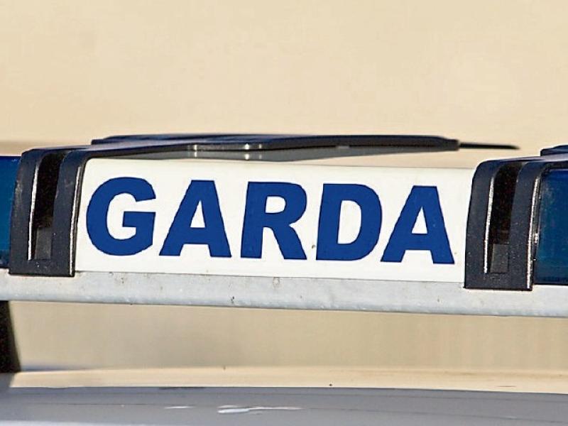 Gardai appeal for information on&nbsp;transit van involved in Castldermot burglary