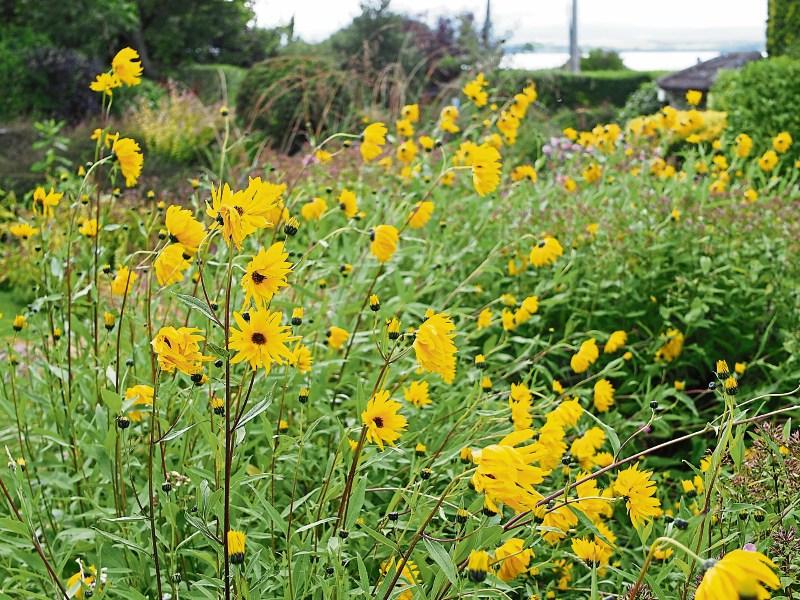 Gardening: Colourful bounty as autumn looms