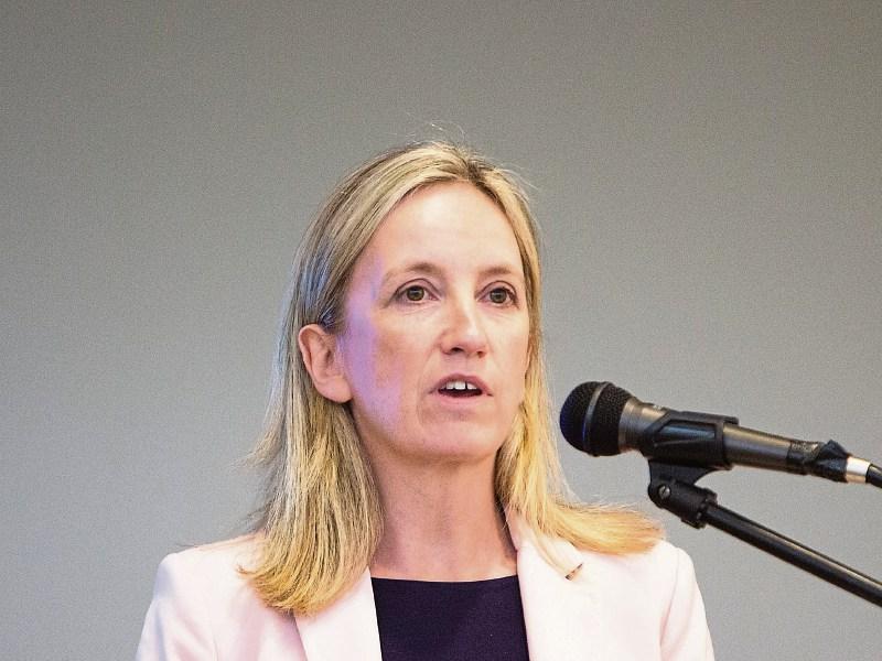 Presidential hopeful Gemma O'Doherty addressing Limerick councillors this week