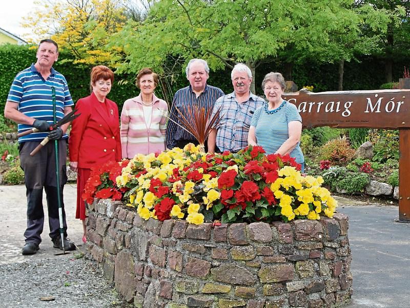 Bloomin' lovely! Some of the committee members of the Tidy Towns Committee in Ardpatrick, David Meskill, Ann McGrath, Peggy Lee, Ger Duggan, Pat Casey and Mary Murphy
