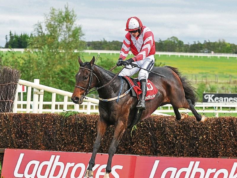 Top class entry for JT McNamara Ladbrokes Munster National at Limerick