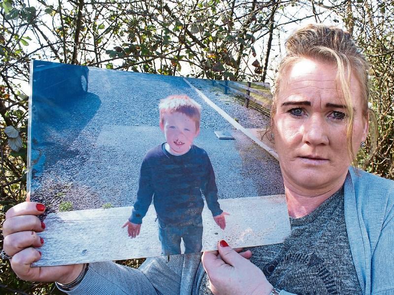 Eileen Fitzgerald holds a picture of her son Anthony, aged 6, who was killed in a car accident in Murroe Picture: Michael Cowhey