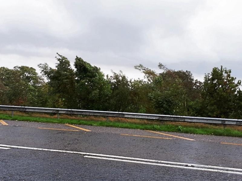 Met Éireann warns of gale force winds in Limerick as Storm Diana approaches