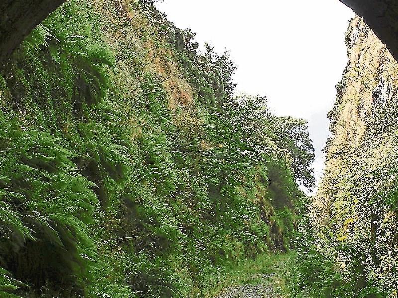 Work on building an underpass at Barnagh to reconnect the Great Southern Greenway with the historic Barnagh Tunnel is expected to begin next week,