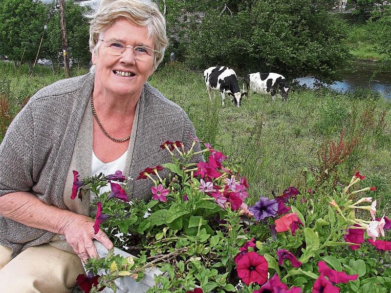 Gardening: My time to hang up the trowel