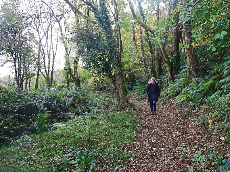 The inaugural walk on the brand-new Ashford Woodland Loop takes place this Sunday at noon and starts from the church in Ashford