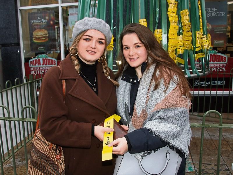 WATCH: Limerick Thomond Rotary Club launches Christmas Remembrance Tree