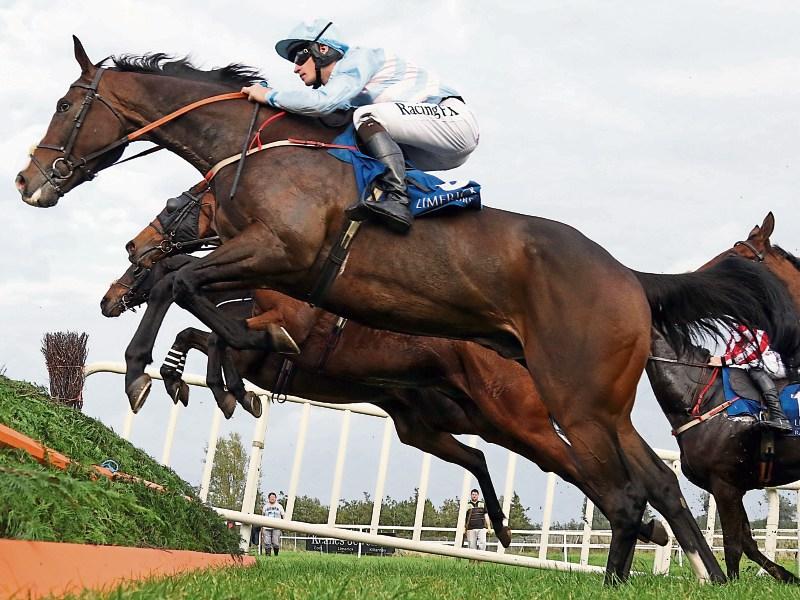 Limerick Racecourse set for second meeting since lockdown