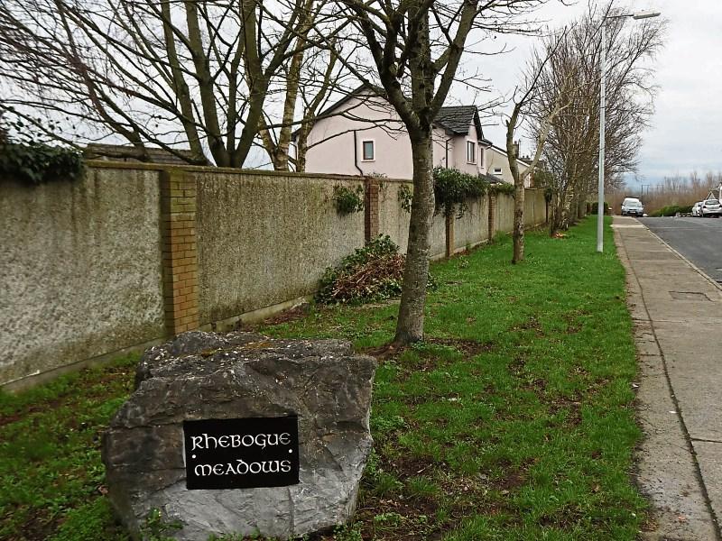 The green strip of land at Rhebogue Meadows