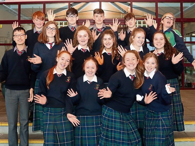 Hit for six: John the Baptist Community School will be well represented in Hospital with six projects Picture: Michael Cowhey