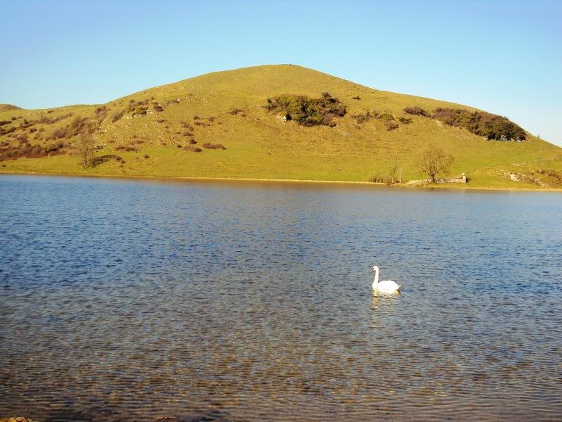 A Heritage Trail in Lough Gur is among the projects to receive funding