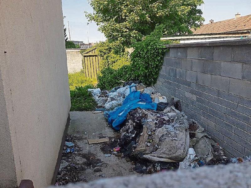 A photograph of the waste – taken last May – was submitted as evidence during the proceedings