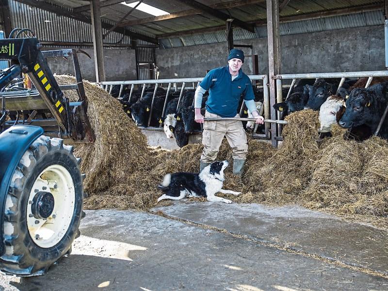 'Leo won't save ice caps but will sink beef' - Limerick councillor