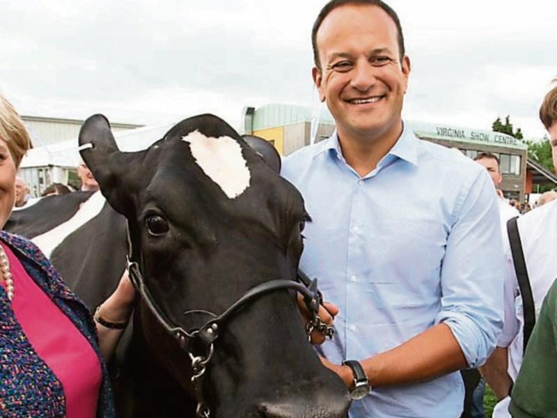 Don't Mind Me: Sorry Leo but beef is for dinner