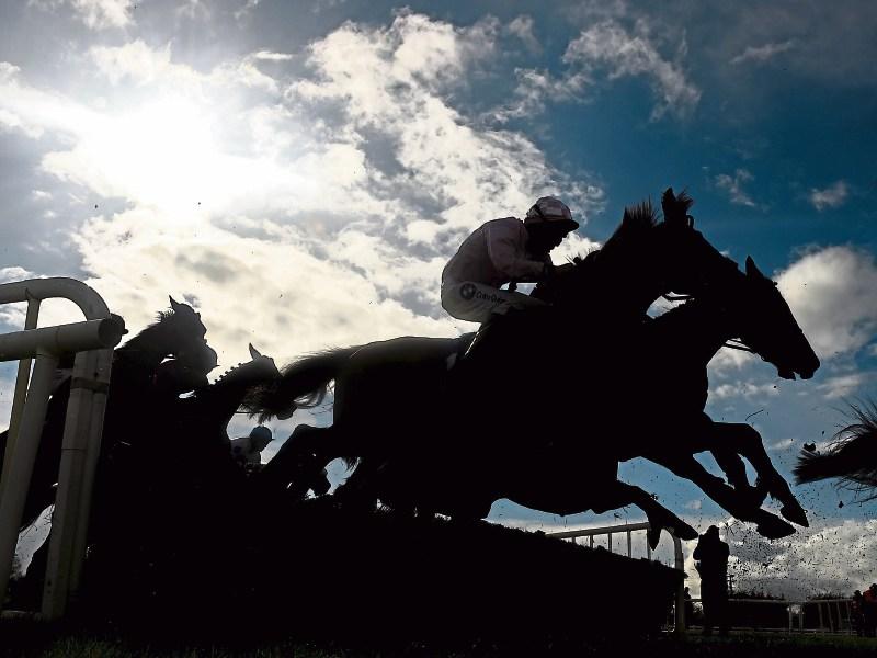 Stonehall all set to stage point-to-point