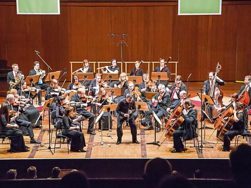 Voices from the Edge: The Irish Chamber Orchestra in concert