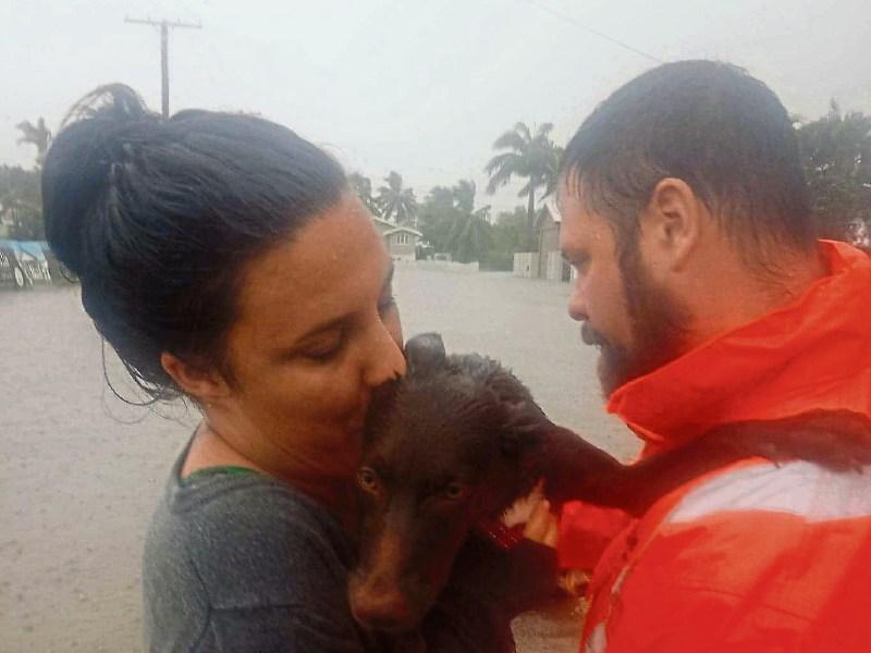 Thomas Foley and Emma Perry carefully taking one of their dogs out of their home as the water reaches their waists