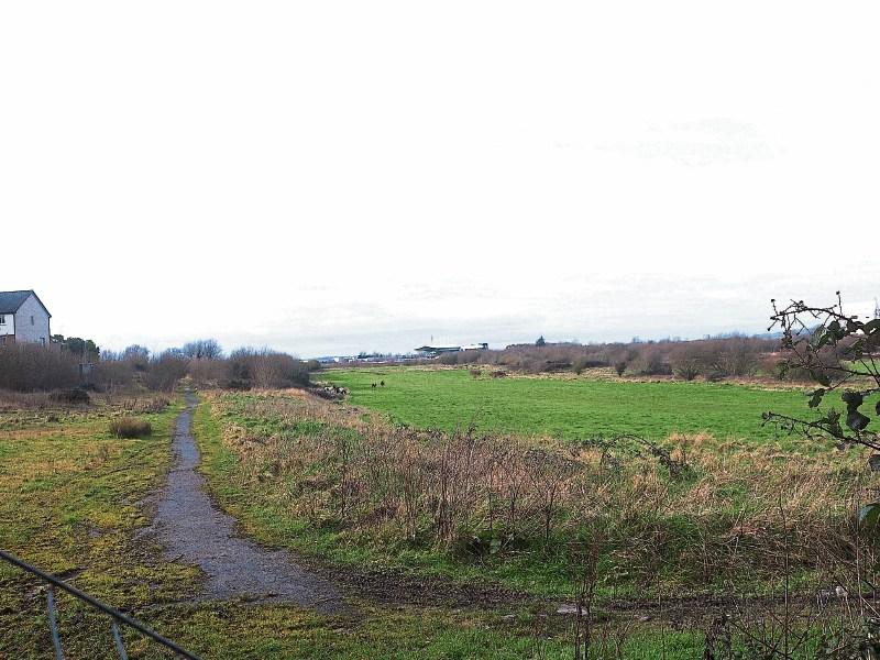Limerick councillor calls for authority to buy Greenpark site