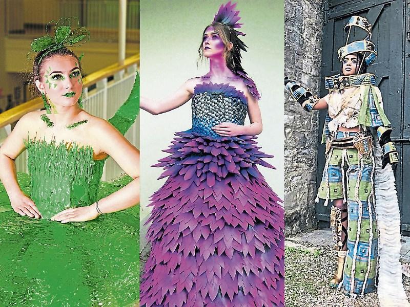 A selection of the Limerick entries: ‘Plastic Fantastic’ from students at Colaiste Ide agus Iosef, ‘Hidden Lotus’ from  Villiers Secondary School and ‘Rome-ing in d-Nile’ by Coláiste Nano Nagle