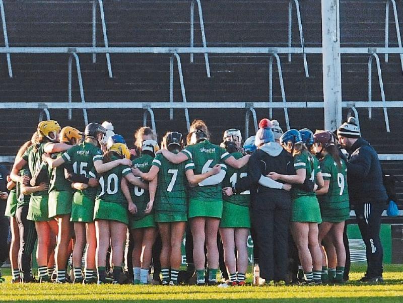 Newlook Limerick camogie team to play Westmeath in AllIreland Senior