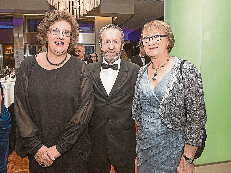 Limerick left out of European election race as Fine Gael and Labour show their hand