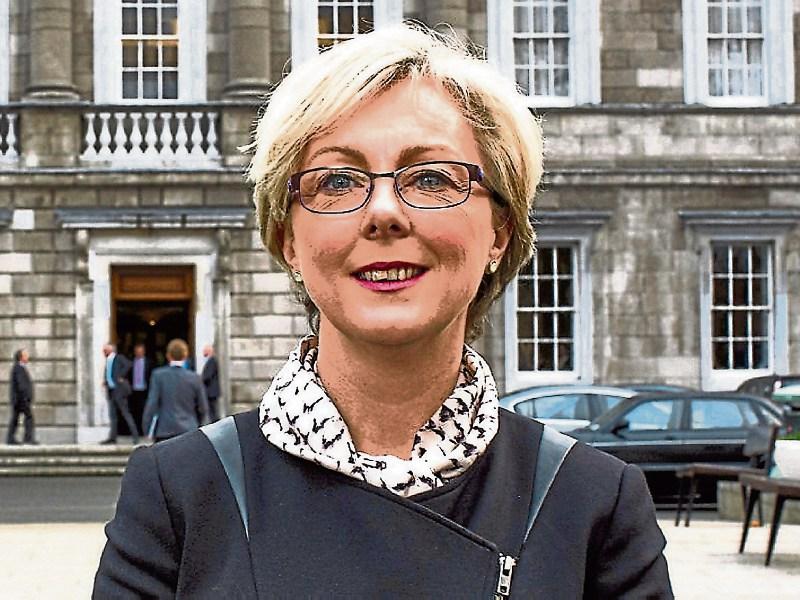 CE scheme at Limerick day care centre to close minister confirms