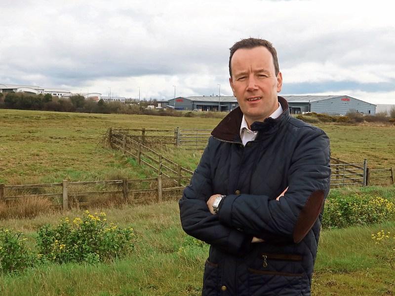 Park and ride call made for Limerick