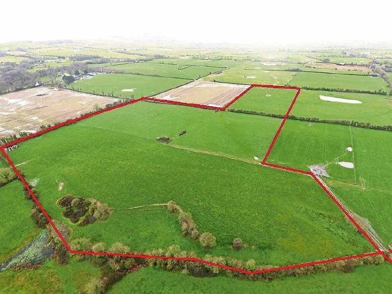 Parcel of ‘top class’ Limerick land up for auction in April