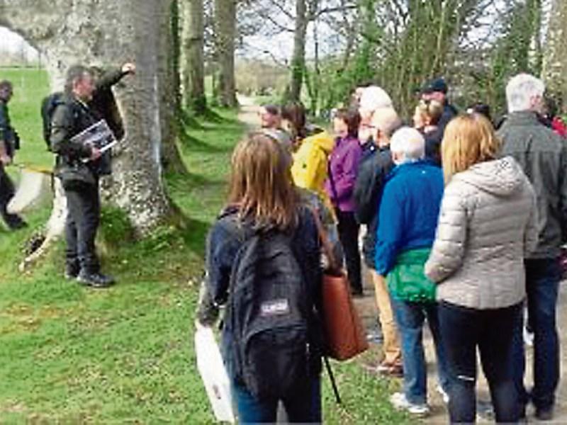 Wild About Wildlife: A green voice for the environment