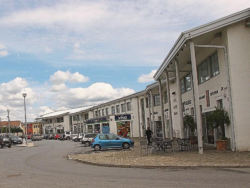 Call for more garda patrols in Limerick suburb as security team resigns