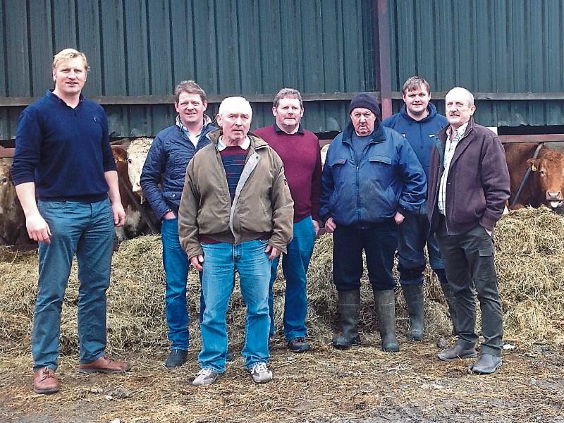 How about Fair Trade for Limerick beef farmers? asks Beef Plan Movement