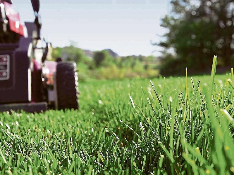 Gardening: Keys to wonderful weed-free lawn