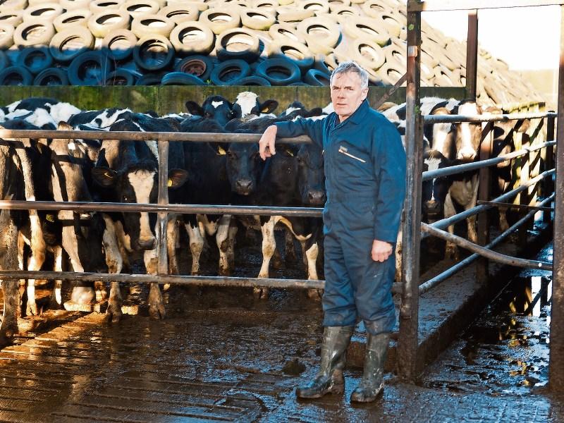 Limerick ICMSA praises Dairygold and Kerry for holding milk price in contrast to others