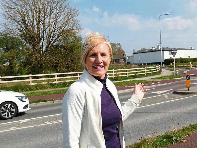 Suburban Limerick homes plan ‘beyond comprehension’