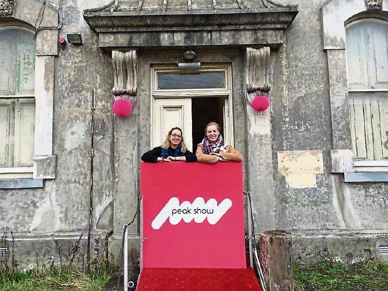 Get a peek at work of artists in Limerick with Peak Show 