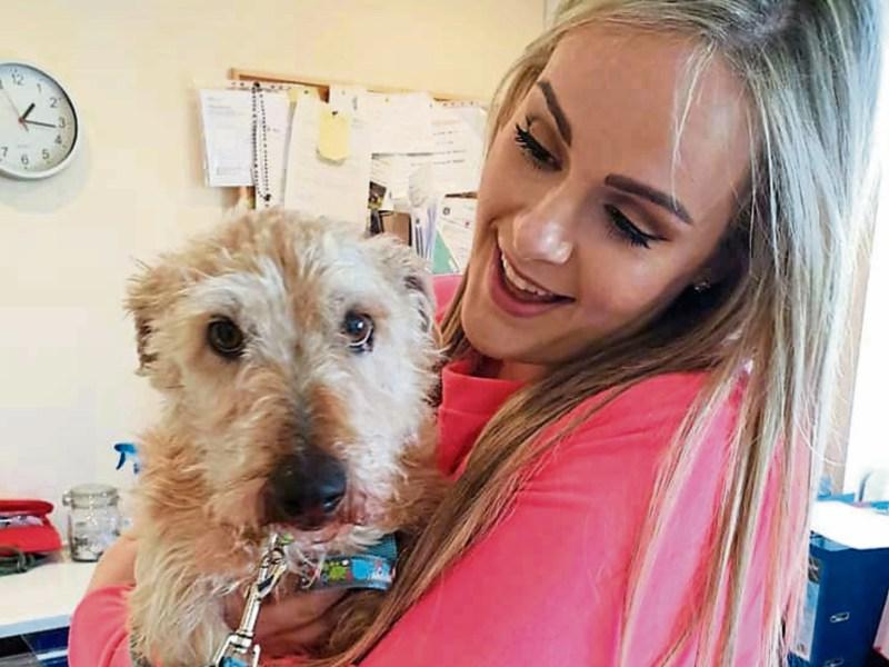 Loving home found for heartbroken pet ‘Grieving Gordon’ after public appeal in Limerick