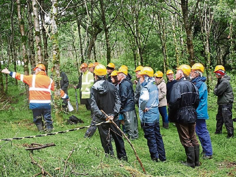 Teagasc host farm walk in County Limerick as part of nationwide series