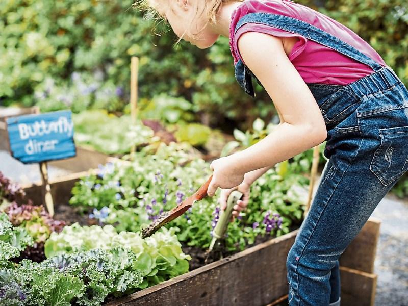 Green Fingers: Little green fingers: Get kids gardening