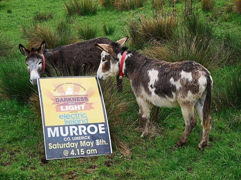 Limerick village's Darkness Into Light walk a beacon of hope with a novel twist