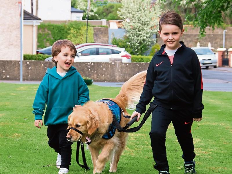 Four-legged friend has had massive impact on life of Limerick family
