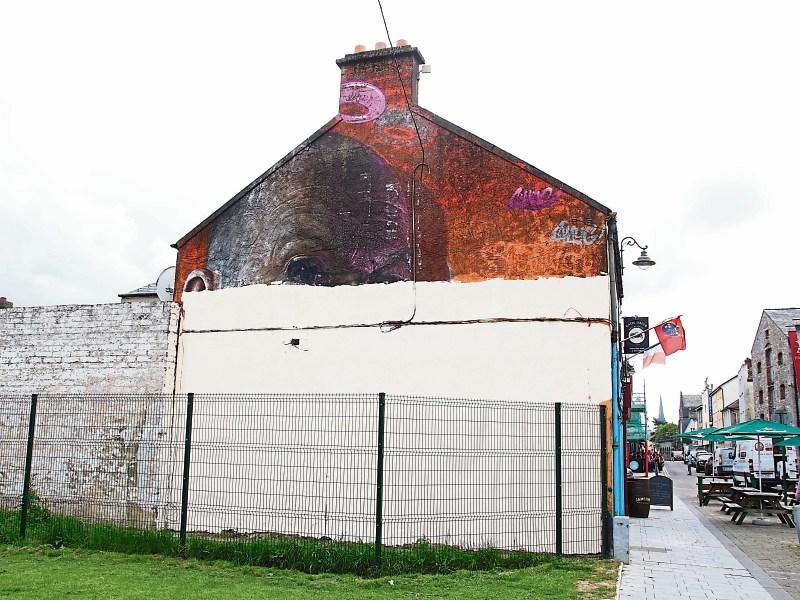 ‘Cultural vandalism’: Limerick's Eyepop mural removed