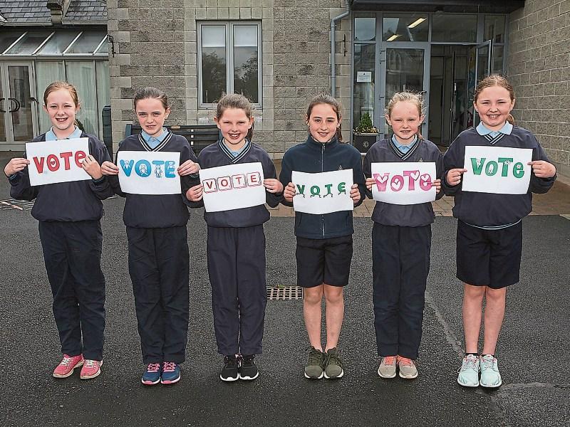 County Limerick: Tight contest in Adare-Rathkeale