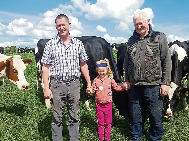 Friesian breeders hold field evening in County Limerick this Friday night