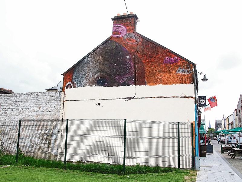 New mural to replace controversial Limerick artwork to be unveiled