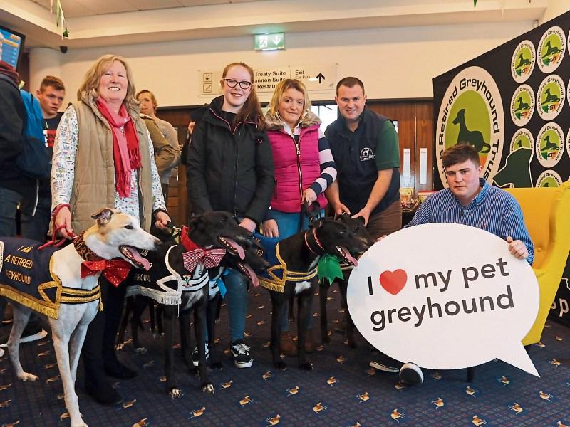 Limerick village hosts Great Global Greyhound Walk this Sunday