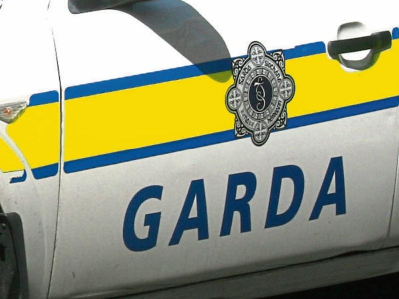 Emergency services at scene of car crash in County Limerick