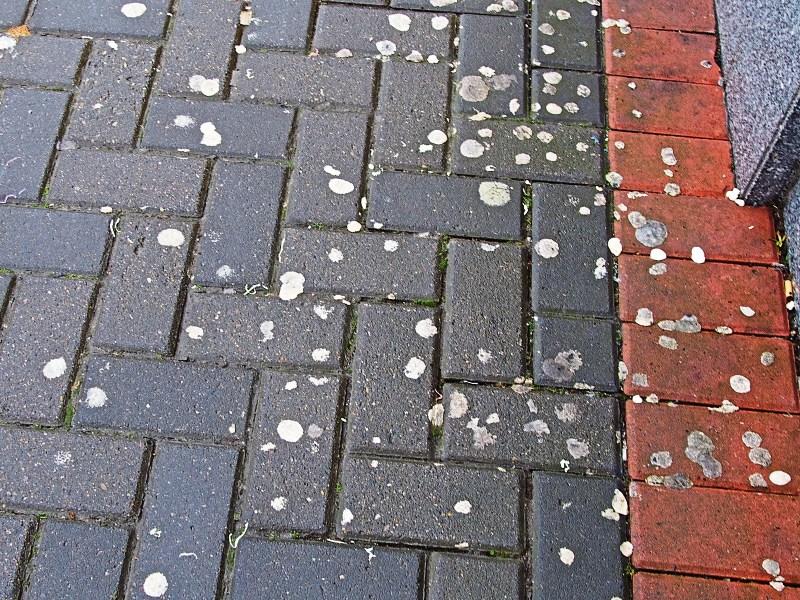 What we think: Fags and gum still a litter headache here in Limerick